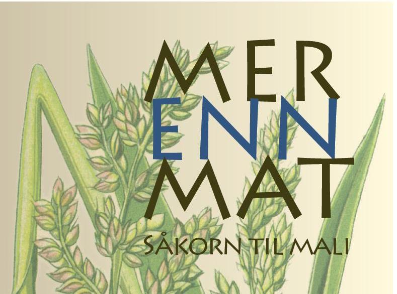annonse-juleaksjon-2013-iau-plakat (788x585)
