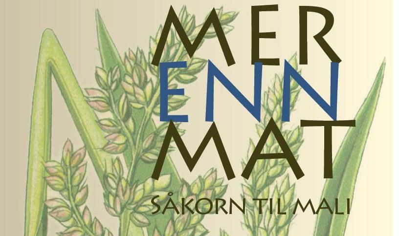 annonse-juleaksjon-2013-iau-plakat (818x483)