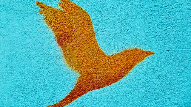 Krever skjerpelse av trosfrihet