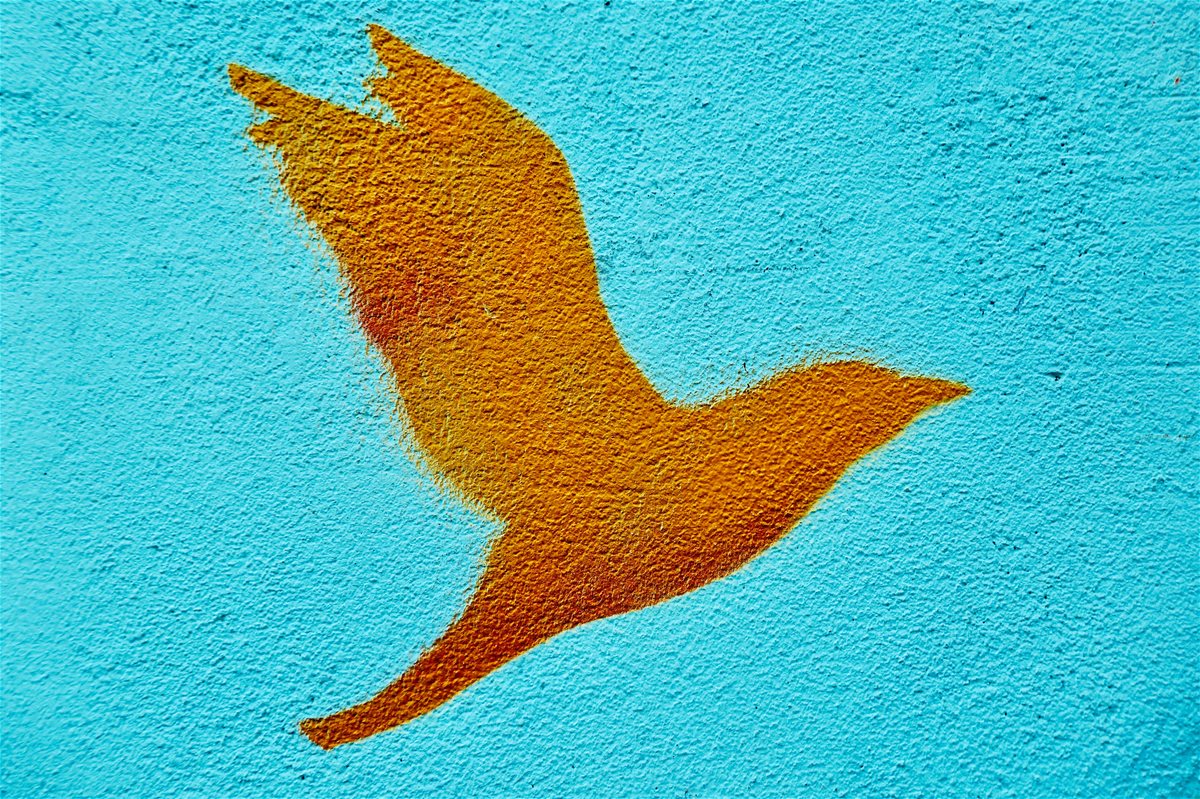 bekky-bekks-t1goymw5uqo-unsplash