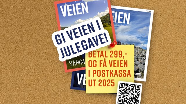 Gi VEIEN i julegave