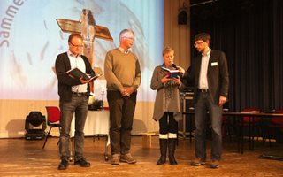 innsettelse-av-hunemo