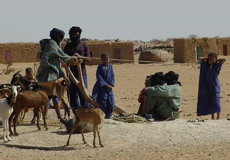 mali_458
